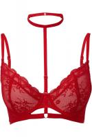 Sheer Evil red Bra with nec...