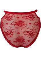 NEW WITCH SHEER EVIL PANTY [SCARLET] Sheer Evil red Lace Panty, KILLSTAR lingerie sexy goth rock